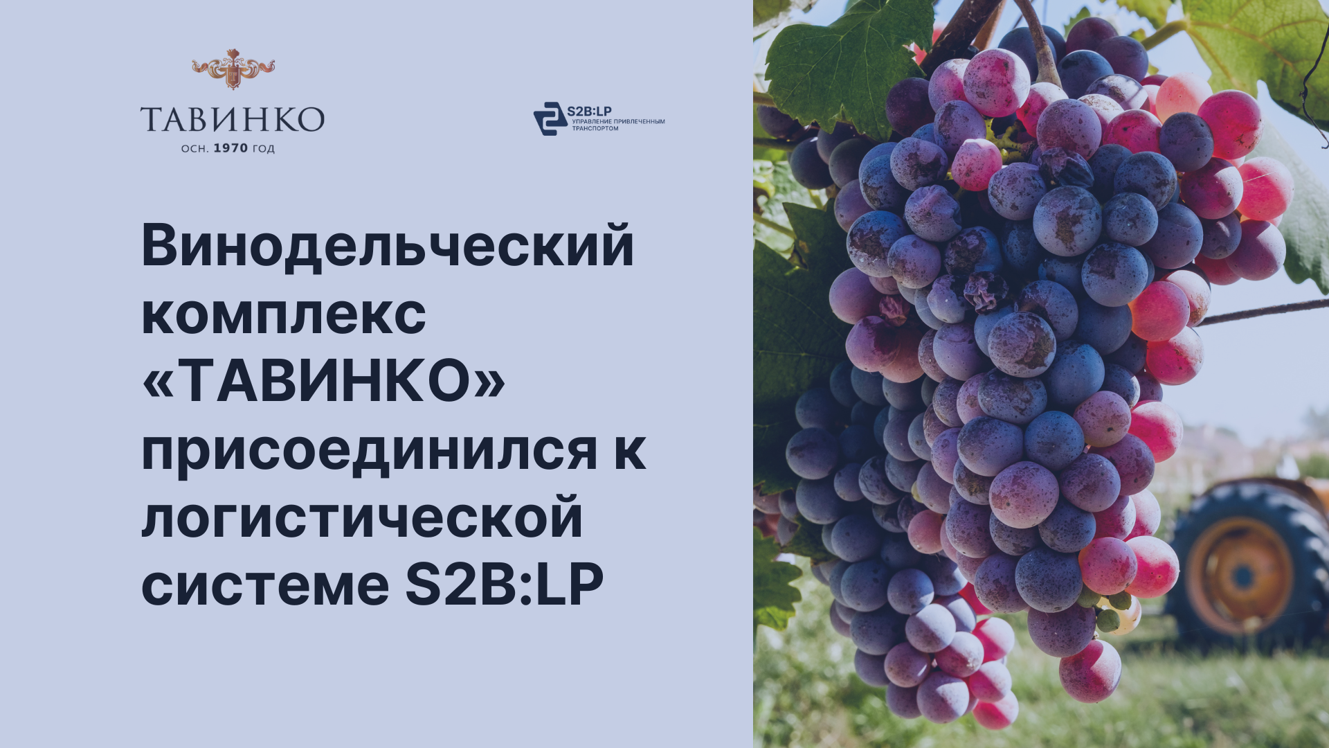 Винодельческий комплекс «ТАВИНКО» присоединился к логистической системе S2B:LP